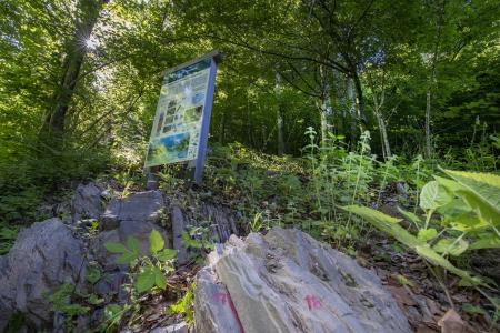 Geološki profil Lukač03